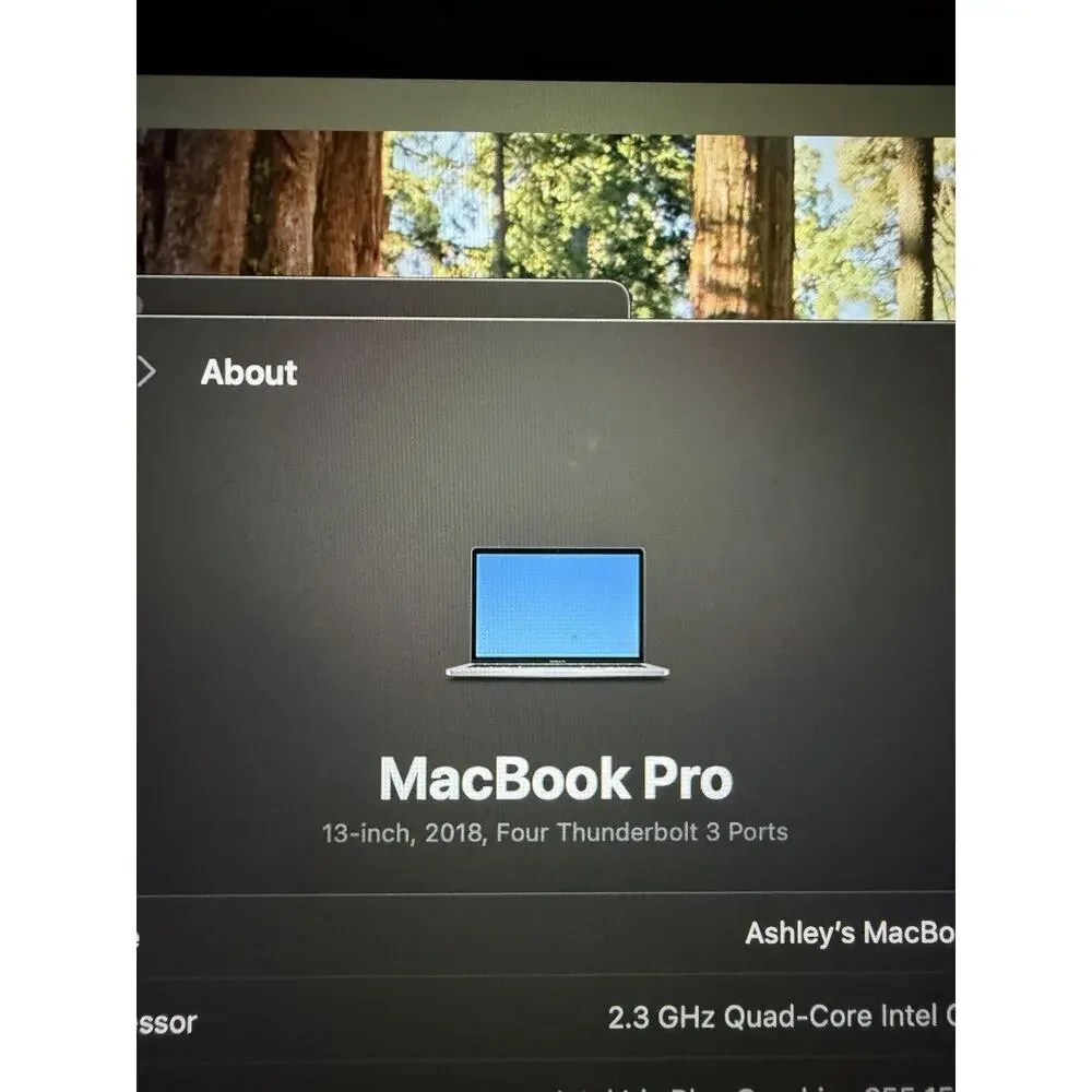 Apple works perfectly